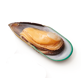 GREEN LIPPED MUSSEL