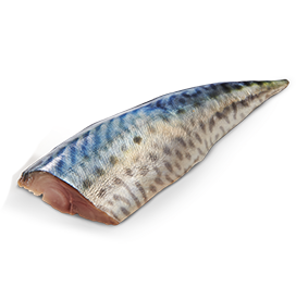 MACKEREL